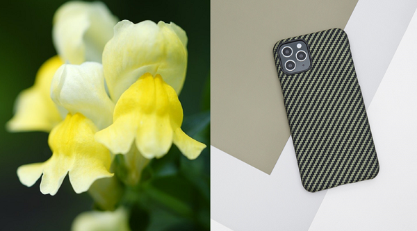 The color yellow reminds people of spring, happiness, and enlightenment